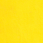 049 (Yellow)