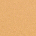 003 (Dark Beige)